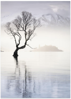 Wanaka Tree