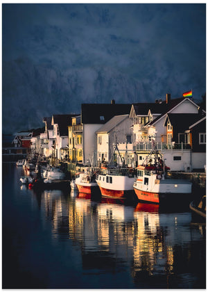 arctic night