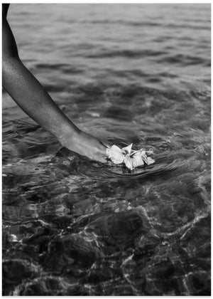 Ocean's Tender Touch