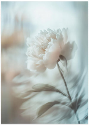 Bloom sway