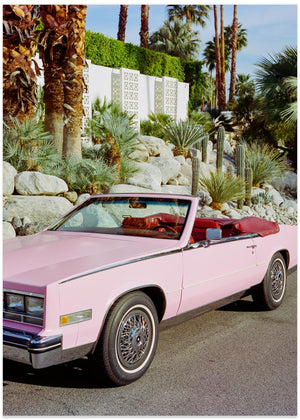 Palm Springs Ride