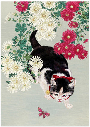 Curious Kitten Butterfly