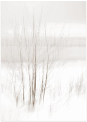 Winter White