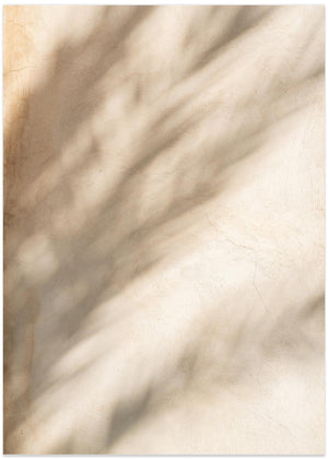 Morning Light