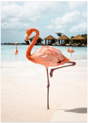 Pink Flamingo