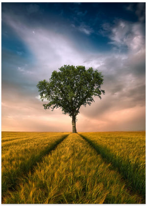 En