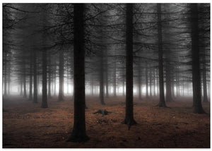 Silence