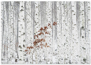From White