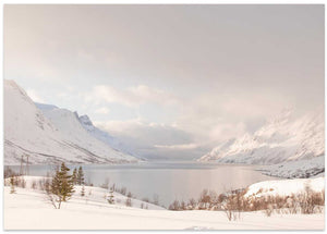 Serene Winter Fjord