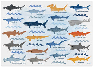 Oceanic Shark Species