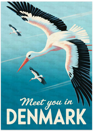 Flying Storks Denmark