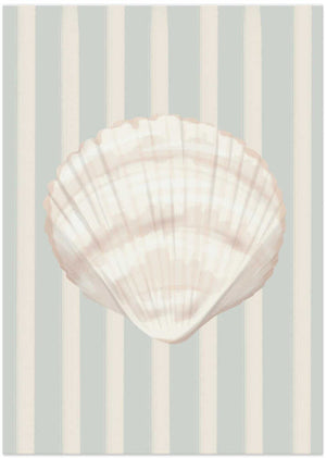 Coastal Seashell Stripes