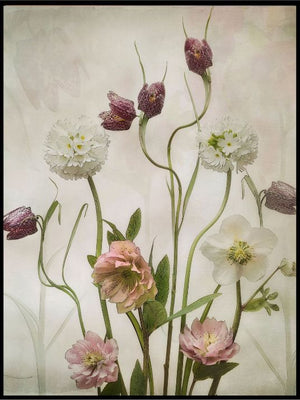 Spring Garden