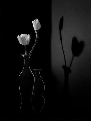 Blomst med skygge