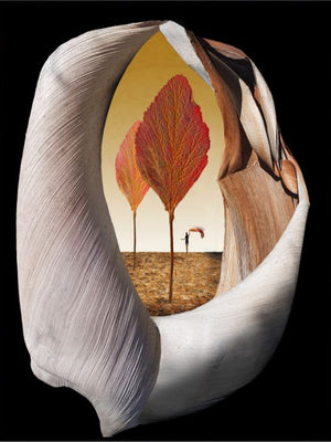 Autumn Trees - Pop Art poster