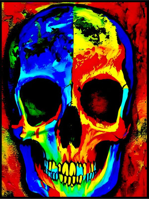 SkullX- Pop Art poster