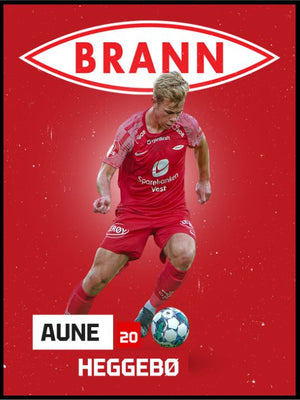 Fire poster - Aune Heggebø