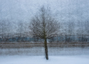 At the shore of the frozen river poster - Plakatbar.no