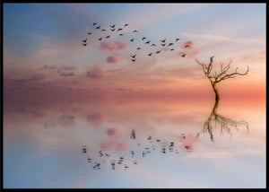 Birds and the sky poster - Plakatbar.no