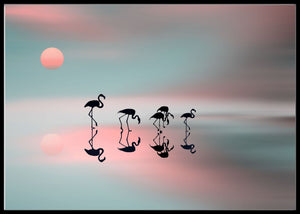 Family flamingos poster - Plakatbar.no