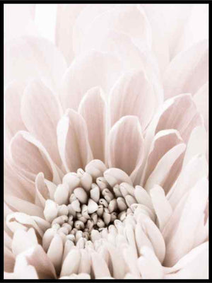 Floral interiør poster - Plakatbar.no