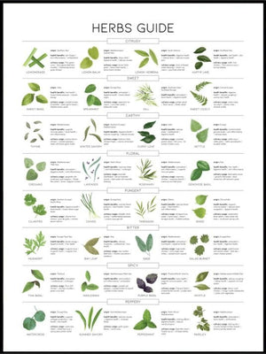 Herbs Guide - Poster - Plakatbar.no