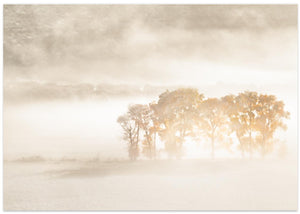 Autumn Dreams
