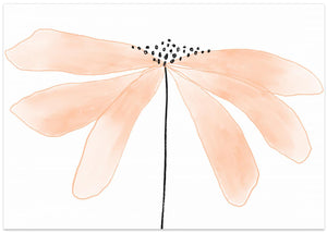 Peach Blossom