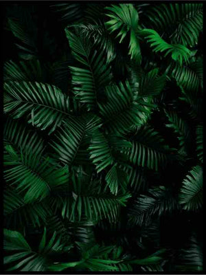 Mørke blader - Botanisk Plakat - Plakatbar.no