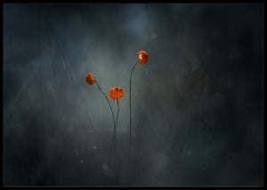 Mushroom flowers poster - Plakatbar.no