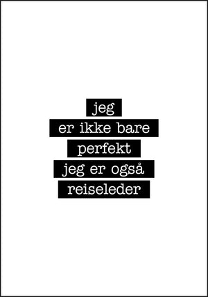 Reiseleder - Jeg er ikke bare perfekt Plakat - Plakatbar.no