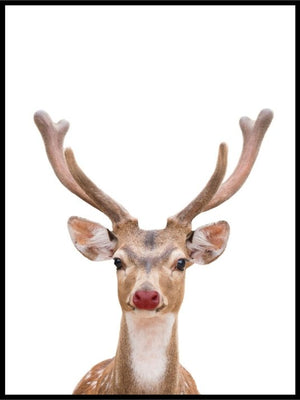 Rudolph - juleplakat 02 - Plakatbar.no