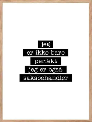 Saksbehandler - Jeg er ikke bare perfekt Plakat - Plakatbar.no