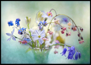 Spring treasures poster - Plakatbar.no