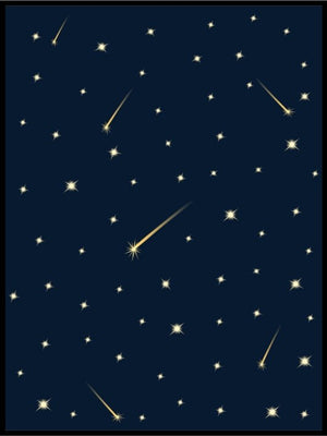 Stjerneskudd på stjernehimmel - Plakatbar.no