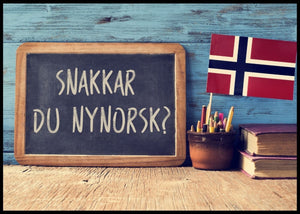 Vintage Norsk Poster - Plakatbar.no