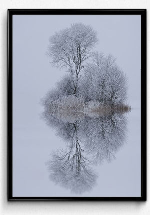 Winter stillness- poster - Plakatbar.no