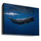 Sperm whale