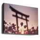 Cosmos Gate Sunset