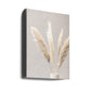 Pampas Grass Grey 05