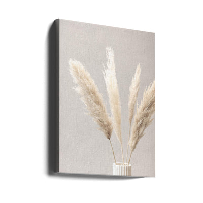 Pampas Grass Grey 05