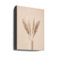 Pampas Grass Beige 11