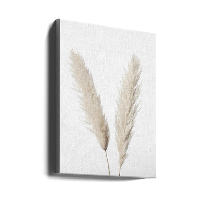 Pampas White