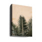 Palm leaves and wall_1