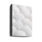 Shells_3
