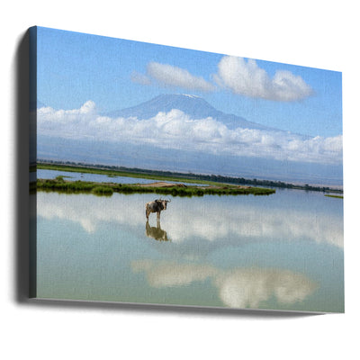 Wildebeest with Kilimanjaro