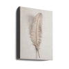 Feather_002