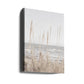 Beach_Water_001