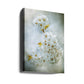 Delicate White Blossoms