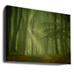 Magic forest